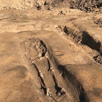 Bild vergrößern: Funde Archäologie Sep 2023